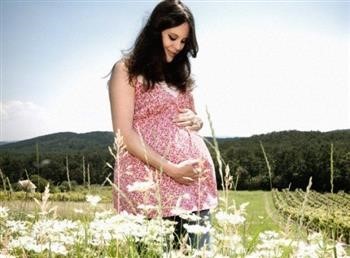 &quot;The Pregnancy Miracle Pdf