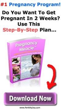 &quot;The Pregnancy Miracle Guide