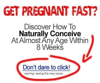 &quot;Pregnancy Miracle System Pdf