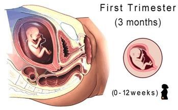 &quot;How Moringa Cures Infertility