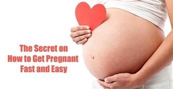 &quot;Pregnancy Miracle Ebook