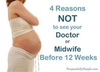 &quot;The Pregnancy Miracle Guide