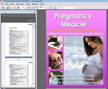 &quot;Pregnancy Miracle Complete Book Free Download