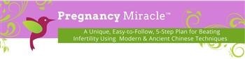 &quot;Pregnancy Miracle Book By Lisa Free Download